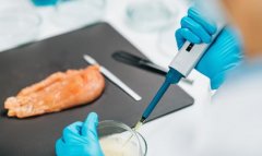 成为中国检测手艺全球的主要参